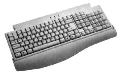 Tastatura služi za unos teksta i brojeva, a miš i njemu slični uređaji (trackball i touchpad) služe za izbor grafičkih elemenata programa. Slika 9. Tastatura Slika 10.
