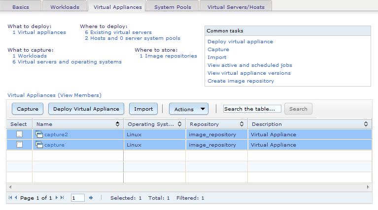 After the job completes, you can see that another appliance is available in the Virtual Appliances tab, as shown in Figure 3-89.