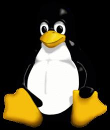 Linux as