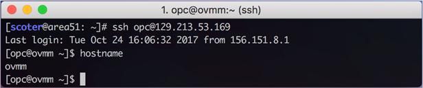 Step 4: Launch the Oracle VM Server Instances Before you launch the Oracle VM Server instances, you must have the Oracle VM Manager SSH client key.