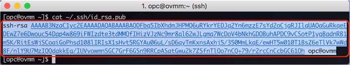 3. Get the content of the public SSH key and save it for future use (you need it to launch Oracle VM instances). # cat ~/.ssh/id_rsa.pub Launch the Oracle VM Server Instances 1.