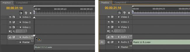 Waveforms are immutable Adding an effect to a clip in Adobe Premiere Pro will not affect the original audio or video clip or the visible audio waveform.