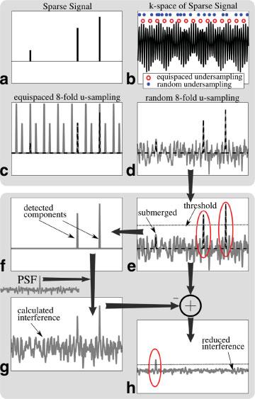 1184 Lustig et al. FIG. 2. An intuitive reconstruction of a sparse signal from pseudorandom k -space undersampling. A sparse signal (a) is 8-fold undersampled in k -space (b).