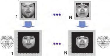 74 New Approaches to Characterization and Recognition of Faces 6 Will-be-set-by-IN-TECH Fig. 3.