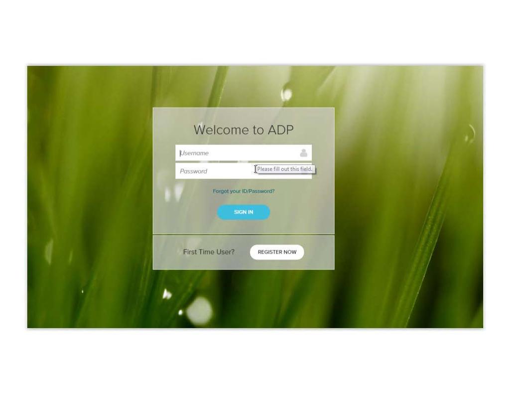 ADP. - Manage your account to keep the information current. Now, you can login into your ADP ipay Statements.