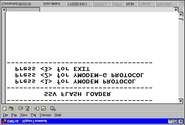 Figure 2: Messages of the DIL/NetPC FLASH Loader Load the DNPX.
