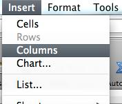 Before you can add a Column you are going to have to select a column on the spreadsheet that is located in the area that you want to enter the new column.