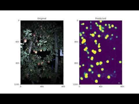 Deep Learning in Computer Vision Applications: (1) Classification, (2) Segmentation; (3) Image Registration; and more... Example: Fruit Segmentation 1.