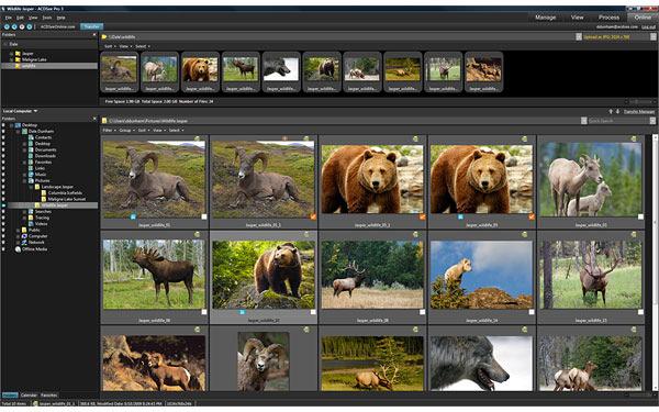 photo applications. Easily customise ACDSee Pro 3 to fit your needs - and experience an accelerated workflow. Browse your collection instantly with ACDSee Pro 3.