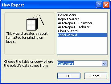 The Access Label Wizard helps you quickly create labels for any number of uses: mailing labels, name tags even labels for your floppy disks!