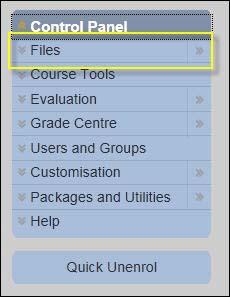 VITAL how to guides elearning Unit Last updated: 01.10.2010 Course Files tool Overview Course Files tool enables you to: Quickly copy large numbers of files into a VITAL module.