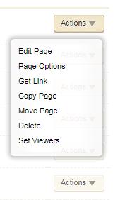 PAGE OPTIONS You can set some options on your pages by clicking the Actions menu to the right of the page name.