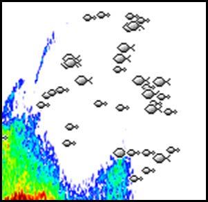 When toggled on, a colored line and temperature digits are shown on the Echosounder image.