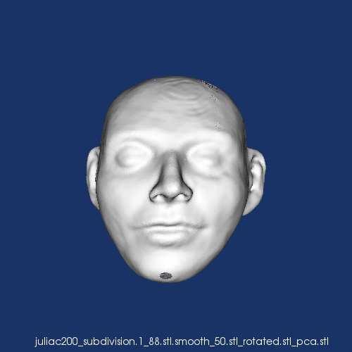 A Learning Approach to 3D Object Representation for Classification 3 3 Data Acquisition The 3D objects used in our experiments were obtained by scanning hand-made clay toys using a Roldand-LPX250