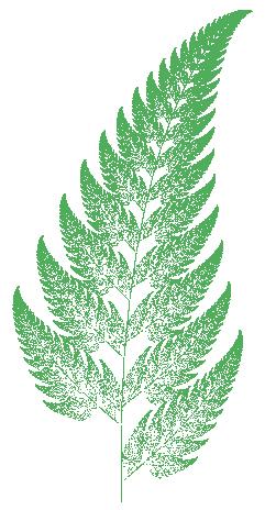 Ferns - Example of