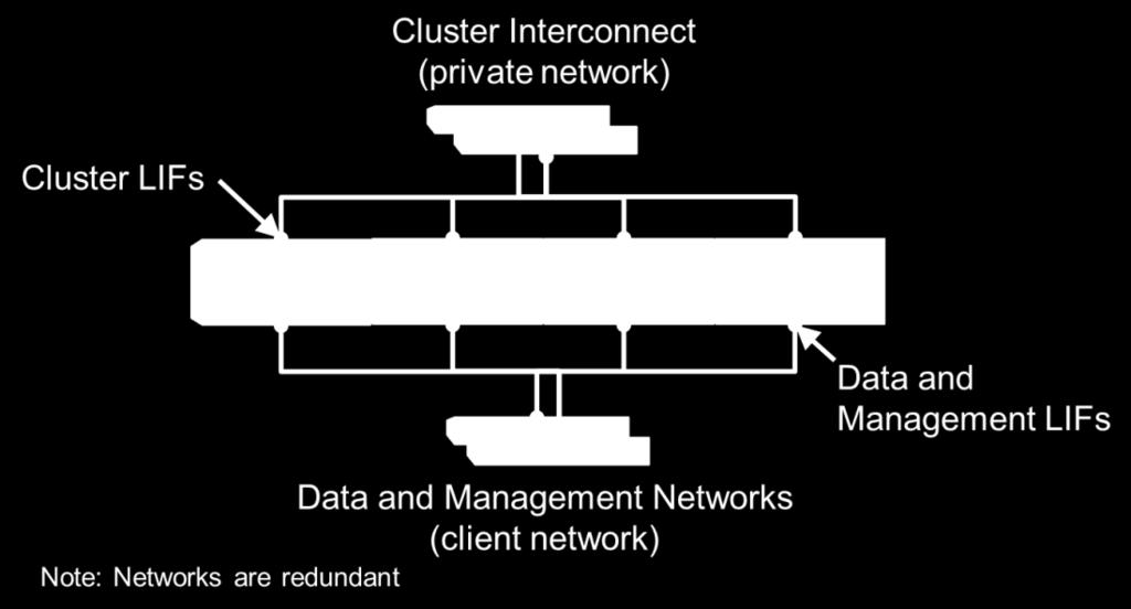 Client access to data occurs on the data network. Management of the cluster, nodes, and Storage Virtual Machines occurs on the management network.