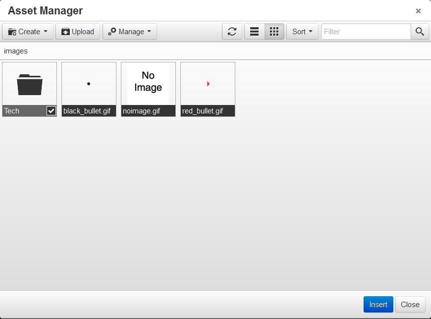 USING THE ASSET MANAGER When the Asset Manager is launched, the files currently residing in it are shown.