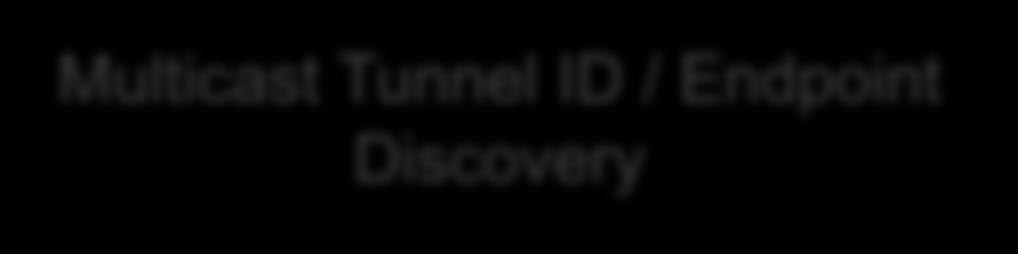 PBB-EVPN Startup Sequence Segment Auto-Discovery VPN Auto-Discovery ESI and B-MAC Auto-Sensing Multicast Tunnel ID