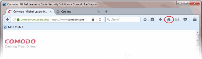 From the currently displayed page Open the page you want to use as your home page in IceDragon Click the hamburger/ 'Open Menu' button at the top-right corner Select 'Options' > 'General' Click the