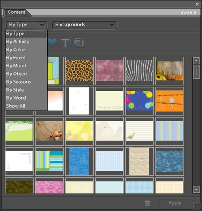 Layers Palette Options Page 195 Selected/Active/Targeted Layer The selected layer is now lighter in color than the unselected layers, which is opposite of Photoshop Elements 5.