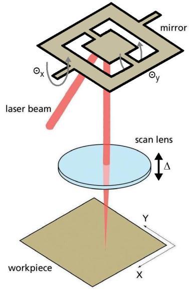 Page 931 The lateral position of the scanning point is determined by the mirror angles and its depth by the displacement of the objective and the use of an autofocus procedure.
