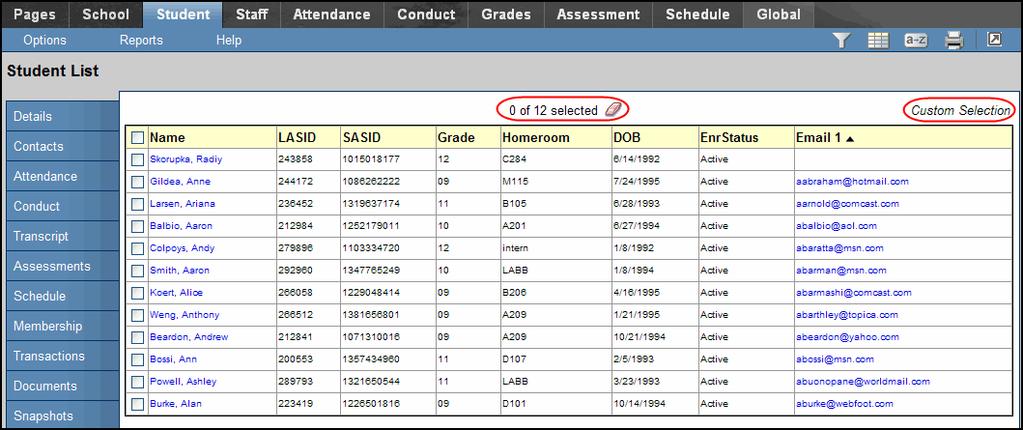 The system displays only the records you selected. Notice that the text below the icons displays Custom Selection to alert you that you are viewing a list of students you filtered.