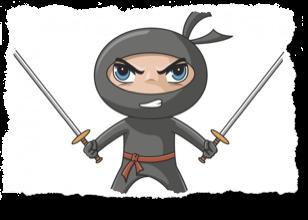 Ninja Status Several useful tools and plugins (Load when