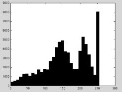 Raw Pixels and Histograms Histogram with Spatial Layout Concatenated histogram for