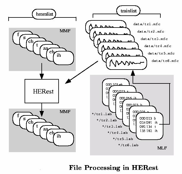 Training Phase HEREST Performs a single Baum-Welch reestimation of the whole set of the HMMs simultaneously For each training utterance, the corresponding phone models are concatenated and the