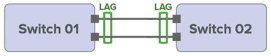 Link Aggregation Group (LAG) Also known as port channels, LAGs bundle physical interfaces into a single aggregated logical interface.
