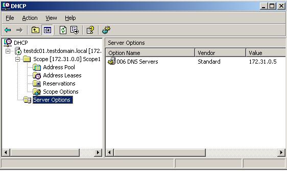 12 of 18 9/6/2008 4:05 AM Click on the "Server Options" section in the left pane. You should just see the DNS Server option configured like in Figure 1-21.