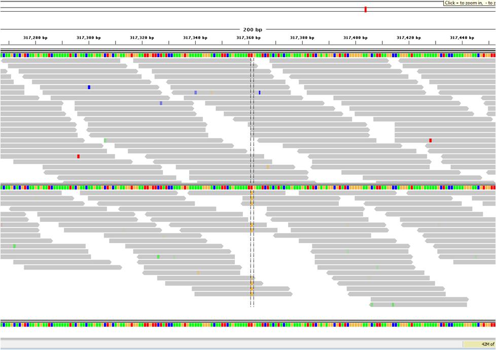 With limited number of individuals, whole genome/exome sequencing do not always reveal the causative mutations Chr Position Ref Coverage Depth Genotypes Gene chr1 24515167 C 5 11 3 T() C() T() chr1