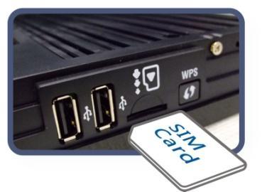 Insert the Ethernet cable into one of the LAN ports on the rear