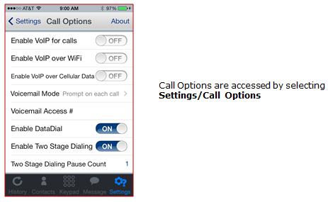 Making Calls Call Options screen The Call options screen has one difference between the Carrier and non- Carrier end-users.
