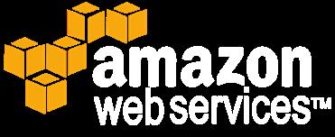 Challenges in Managing Enterprise Level AWS Services Cost Optimization Security