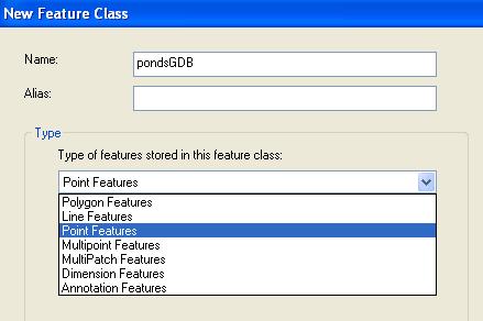 This will open a window which allows you to name the new feature class, and define the Type.