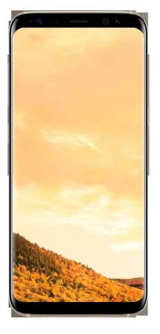 SmartPhones PG12 PG13 DOUBLE YOUR Samsung Galaxy S8 64GB R689 Includes Connect L Rear Dual Pixel 12MP OIS & Front 5MP 4GB RAM 5.
