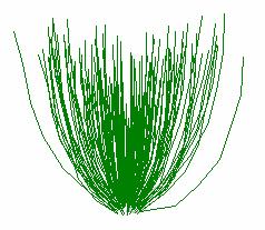 From this framework, Flamingo s plant algorithms generate complex, natural looking plants as the rendering proceeds. Plant representation.