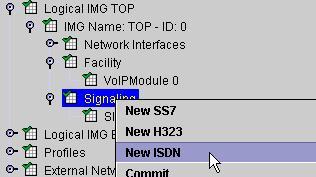 ISDN Signaling Pane Description This a container object for configuring ISDN D Channels. After creating this object, right-click on ISDN D Channels and select New ISDN D Channel.