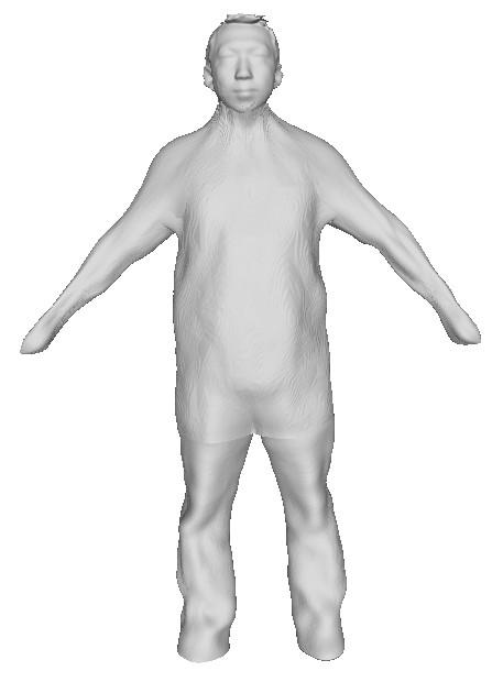 The final reconstruction is shown in Fig. 9. We capture the global shape of body as well as the fine details of face. Fig.. Final reconstruction model 4.