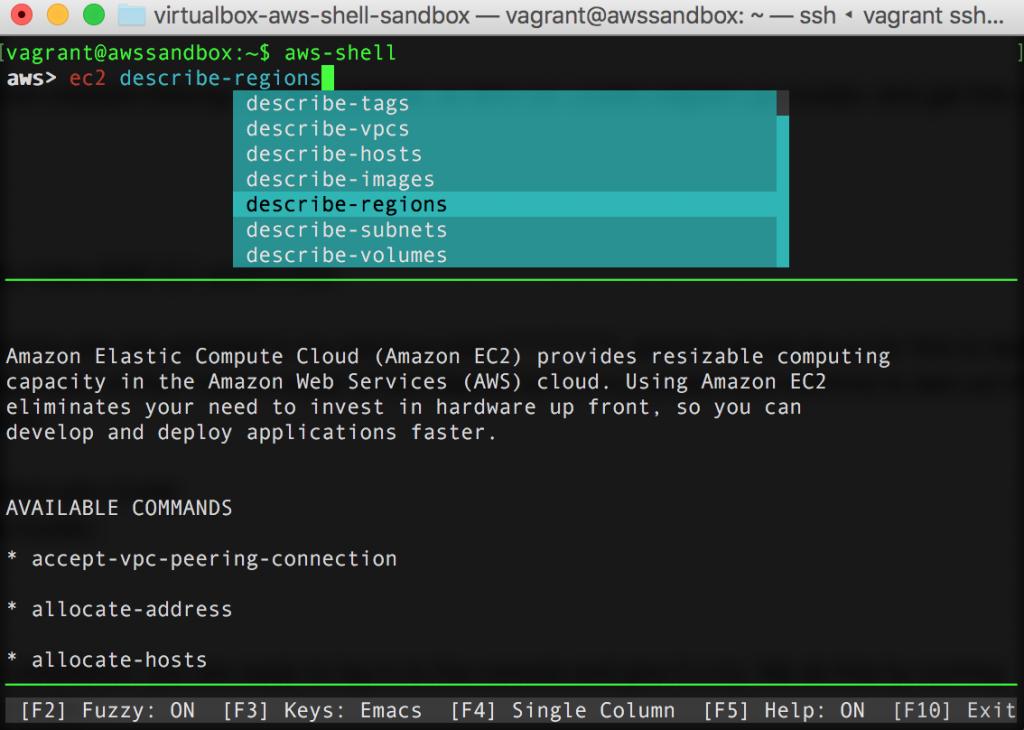 start typing away on the AWS shell commands.
