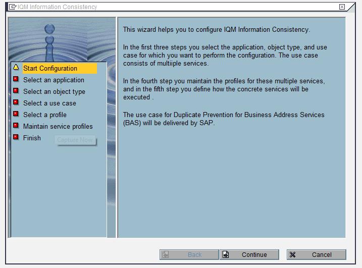 Configuration of Information Quality Management In transaction IQM_CM_CONFIG, make the selections in the wizard, as shown in the following screenshots.