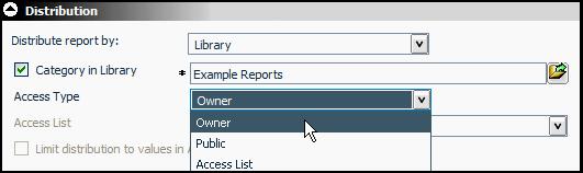 Access Type: Access Type indicates who will have access to this report.