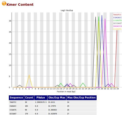FastQC Kmer Content Example OK Example KO Source : http://www.
