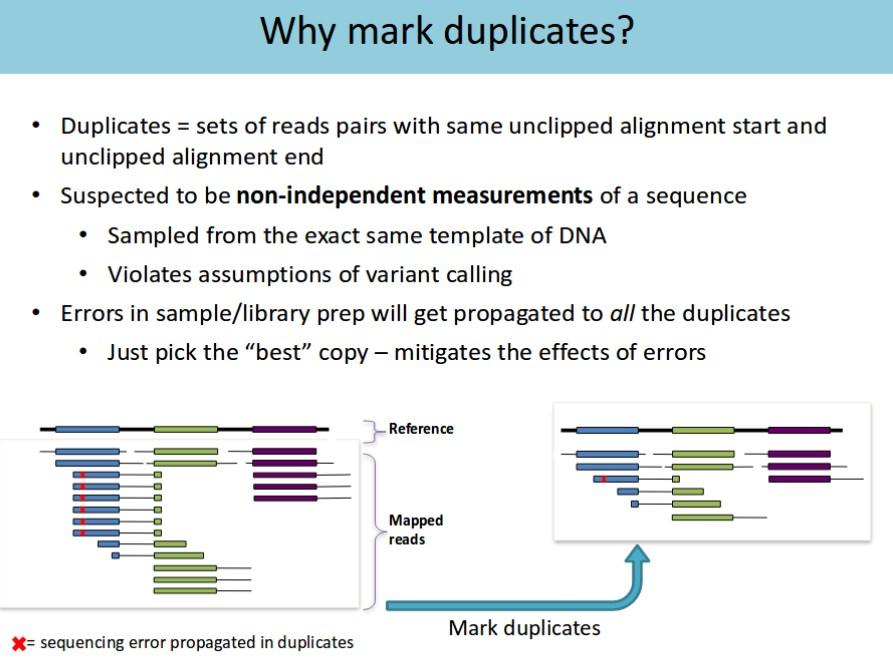 Cleaning duplicated reads Source : GATK Marking duplicates https://software.broadinstitute.