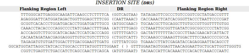 ISsaga provides the necessary tools to do this (ORF Finder, Filter DNA, Revert DNA, and Translator in TOOLS the drop-down menu).