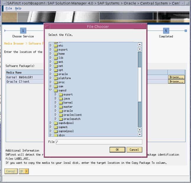 Figure 9 shows the entry screen for the Oracle software installation.