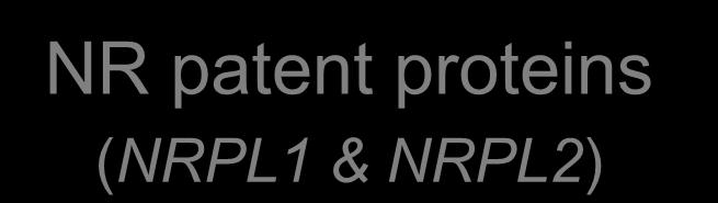NR patent proteins (NRPL1