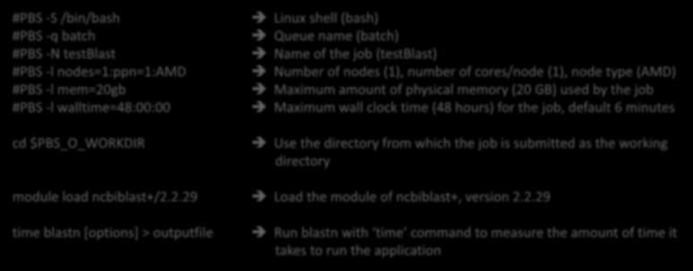 name (batch) Name of the job (testblast) Number of nodes (1), number of cores/node (1), node type (AMD) Maximum amount of physical memory (20 GB) used by the job Maximum wall clock time (48