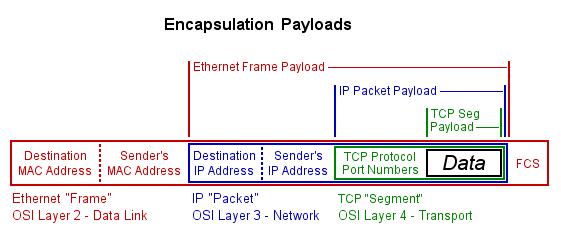 Data Encapsulation Overview Open Systems